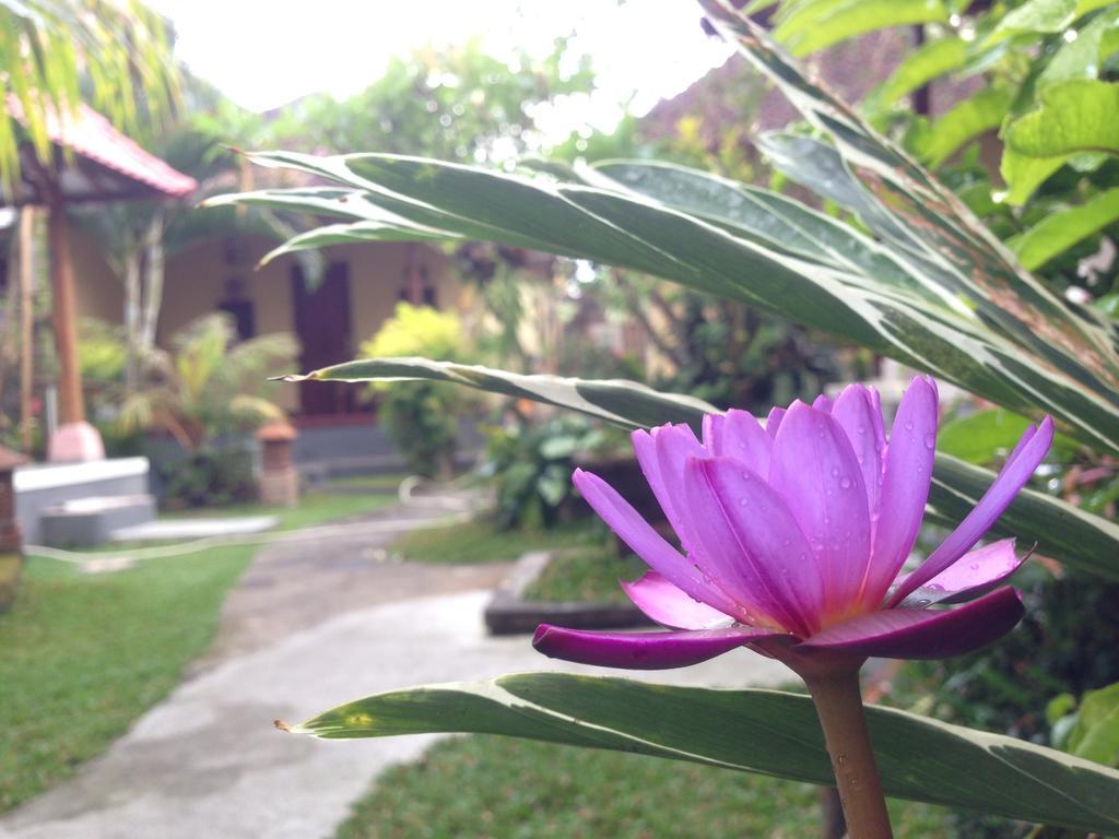 Dimuwa Ubud Szoba fotó