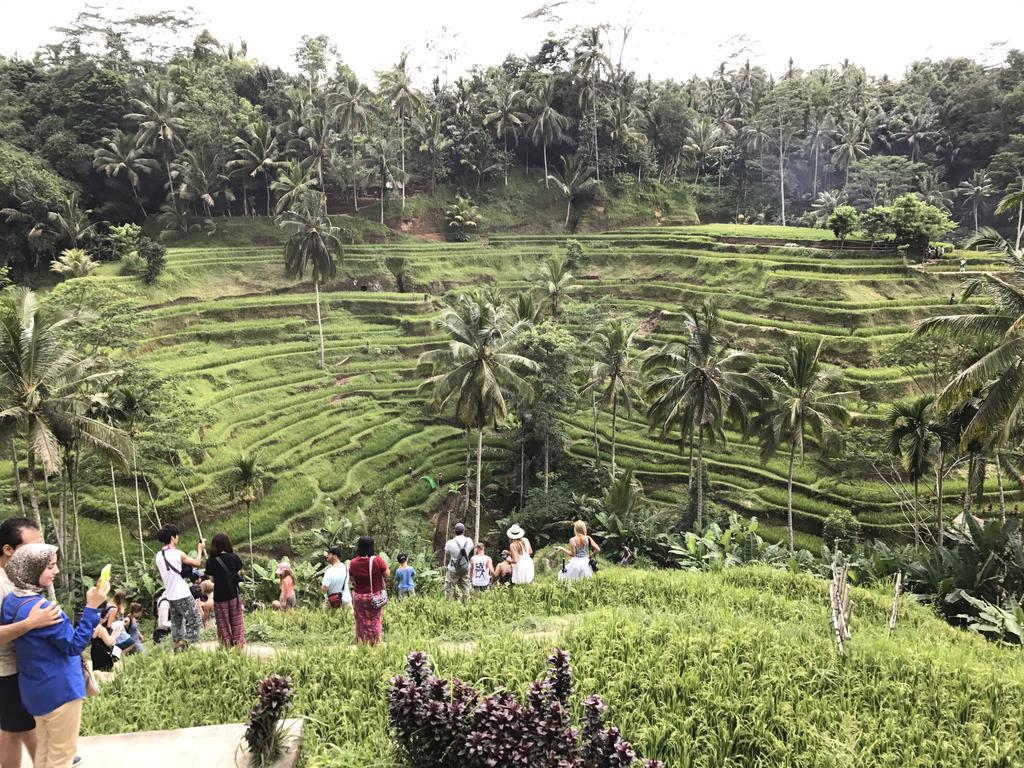 Dimuwa Ubud Kültér fotó
